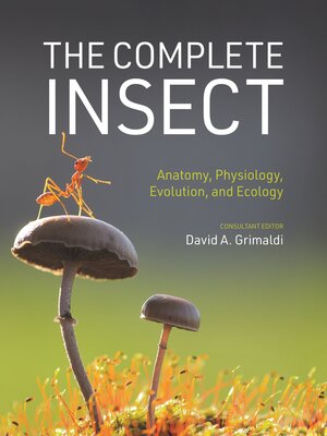 cover image of The Complete Insect